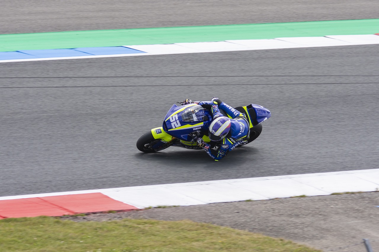 仅仅是为勇 仅仅是为勇