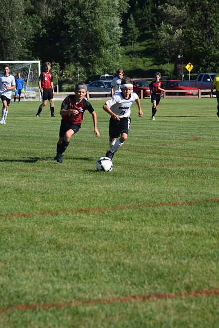 在进球数字 在进球数字