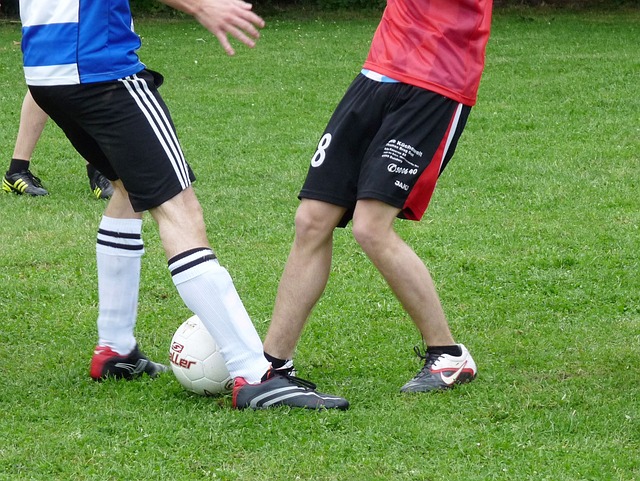 球赛车领域 球赛车领域