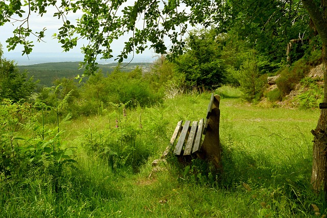 “六连胜背后的秘密：凯尔特人如何在国王主场复仇”.