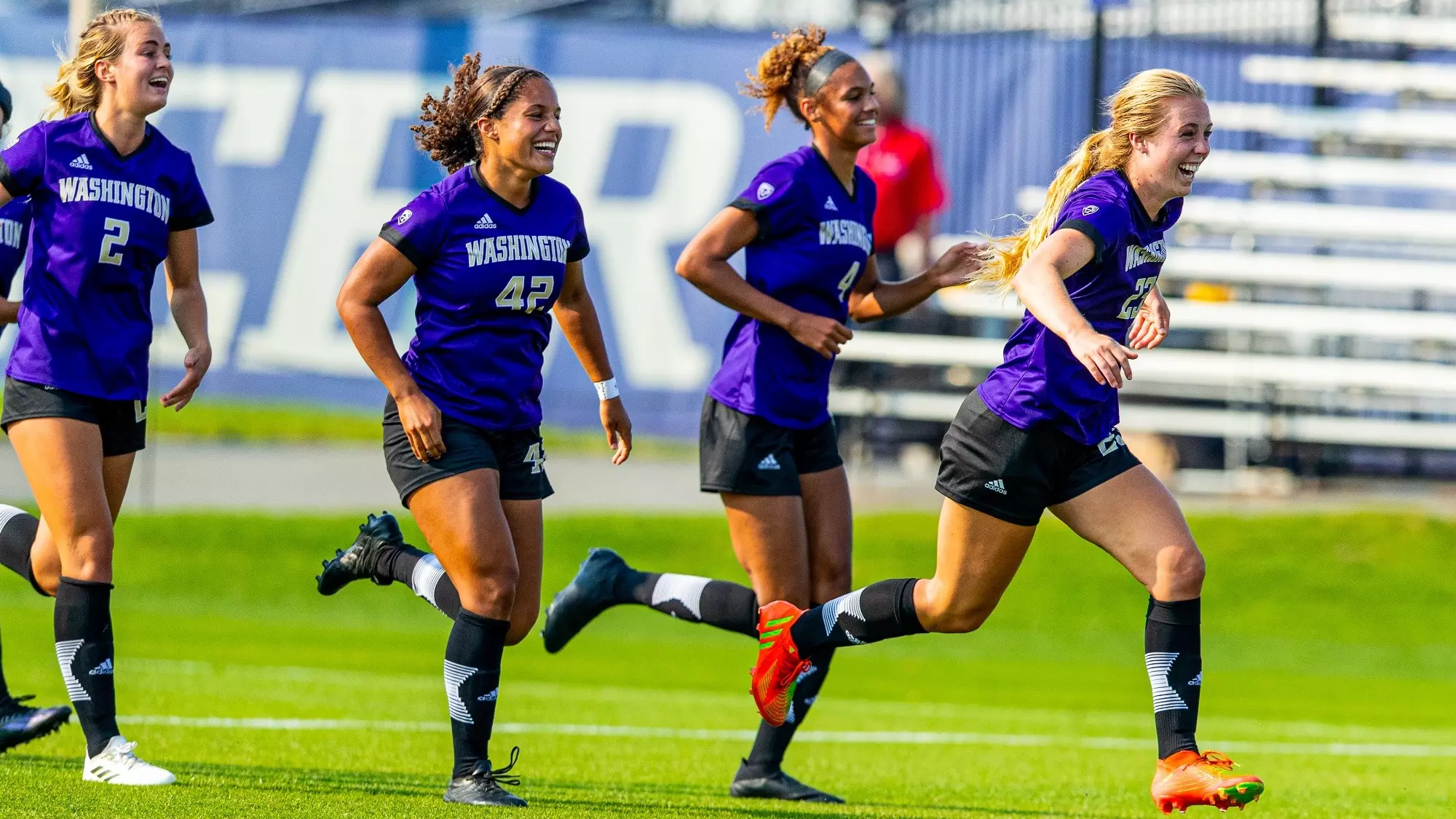 它不仅重塑 它不仅重塑