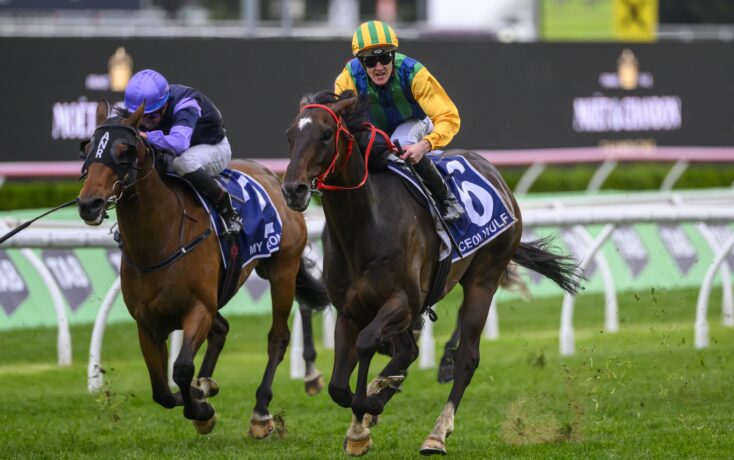 东契奇的 东契奇的